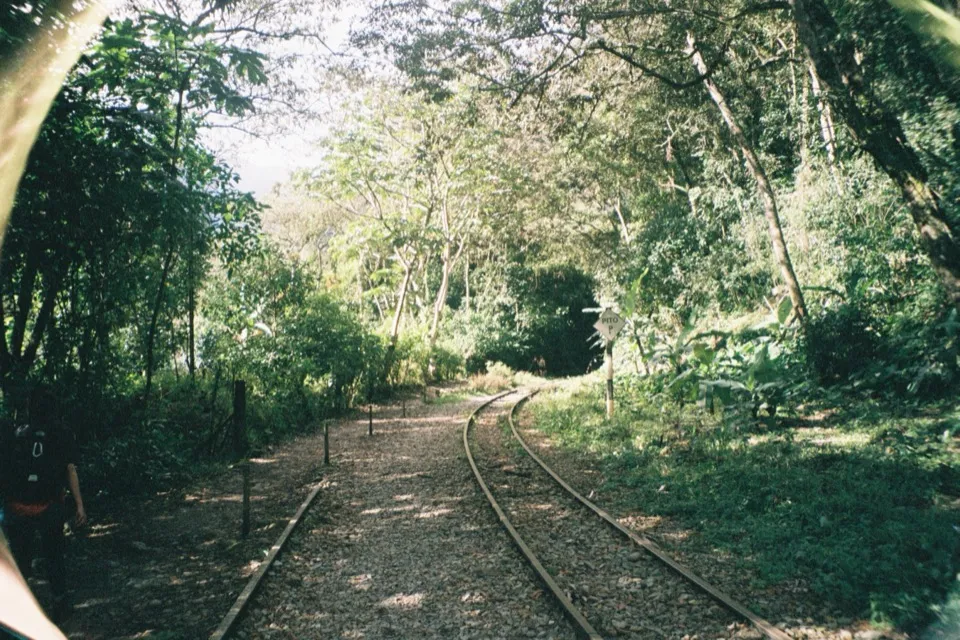 Railway tracks curving through the jungle on the walk to Aguas Calientes